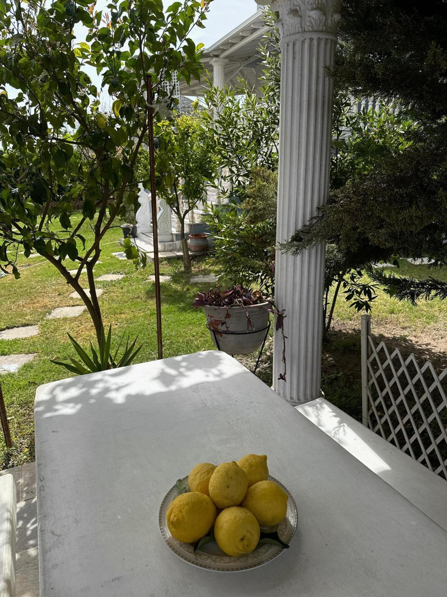 Villa Spartandom Gerakini Dış mekan fotoğraf